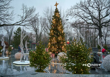 Сад Шевченко у Харкові готують до свят (фото)