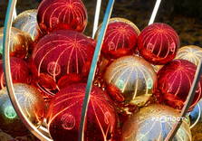 Сад Шевченко у Харкові готують до свят (фото)