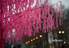 Сад Шевченко у Харкові готують до свят (фото)