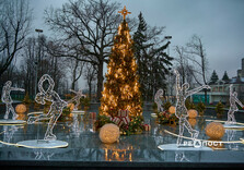 Сад Шевченко у Харкові готують до свят (фото)