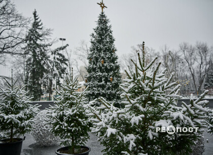 Сніговий покрив до 15 сантиметрів: синоптики про погоду в Харківській області