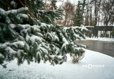 Харків засипало снігом (фото)
