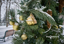 Харків засипало снігом (фото)