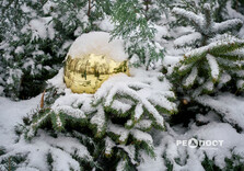 Харків засипало снігом (фото)