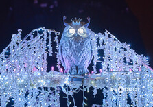 У Харкові засяяла святкова ілюмінація (фото)