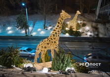 У Харкові засяяла святкова ілюмінація (фото)