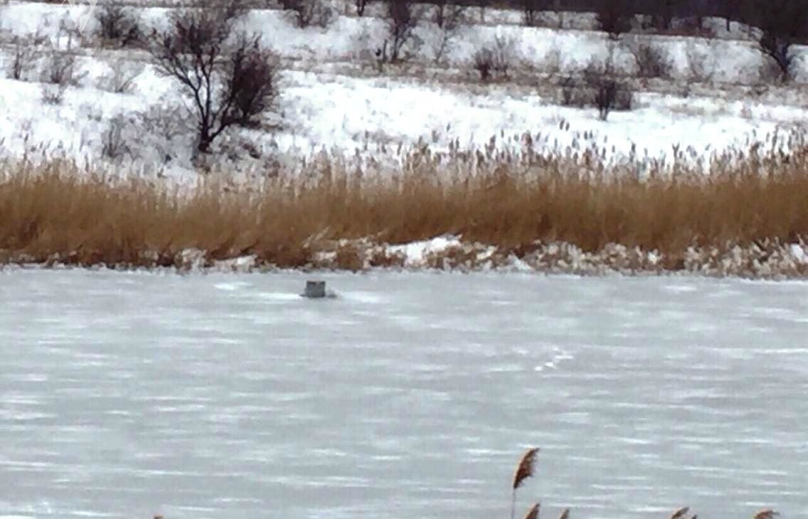 нестійку кригу