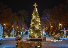 Передноворічний Харків (фото)