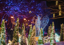 Передноворічний Харків (фото)