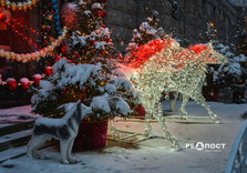 Передноворічний снігопад у Харкові (фото)