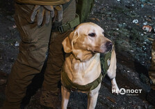 Наслідки російського ракетного удару в центрі Харкова (фото)