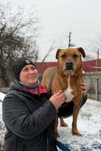 Новини Харкова: підсумки роботи Центру поводження з тваринами