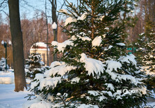Харків у середині січня (фото)