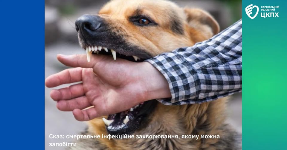 сказ