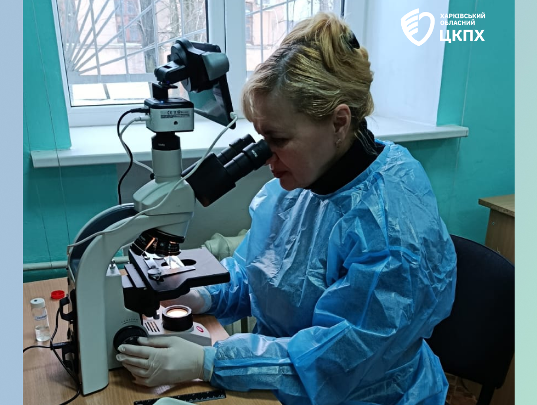 Випадок дирофіляріозу зафіксовано на Харківщині