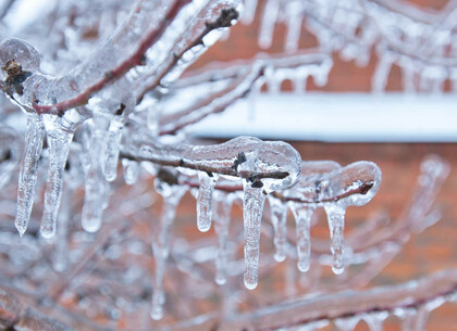 На Харківщині 30 січня прогнозують льодяний дощ, ожеледь і налипання мокрого снігу