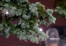 Льодова стихія у Харкові (фото)