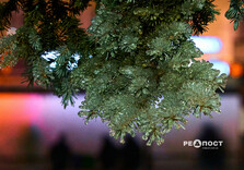 Льодова стихія у Харкові (фото)