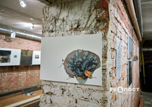 У Харкові відкрилася художня виставка Way Here / Ми вдома. Харків (фото)