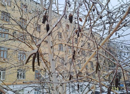 На Харківщині 1 лютого збережеться ожеледь: оголошено жовтий рівень небезпеки