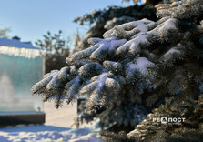 Морозний день у Харкові (фото)