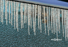 Морозний день у Харкові (фото)