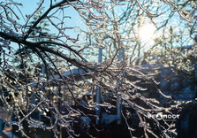 Морозний день у Харкові (фото)