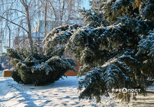 Морозний день у Харкові (фото)