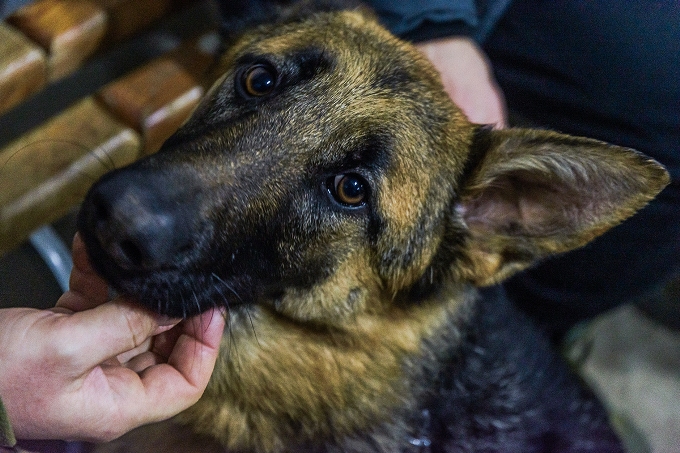  Читайте нас у Facebook, Telegram та Instagram   Раніше РЕДПОСТ писав, що психологи бригади «Скіф» працюють із військовими на передовій для підтримки стійкості.