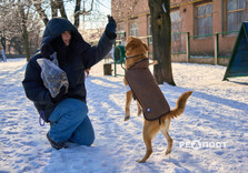 У харківському Центрі поводження з тваринами собак від холоду рятують теплими светриками (фото)