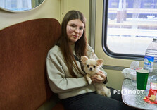 У Харкові «Вагони Незламності» (фото)