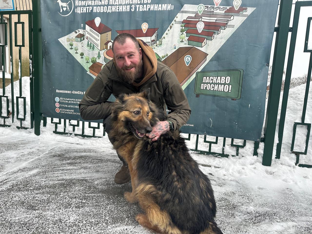 Харківський притулок для тварин протягом січня прийняв більше 100 безпритульних кошек та собак