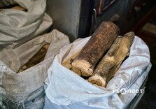 Тепло в домівках харків'ян: як працює одна з програм допомоги самотнім і переселенцям (фото)