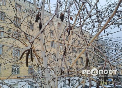 У Харкові та області прогнозують різке похолодання до -18° та ожеледицю