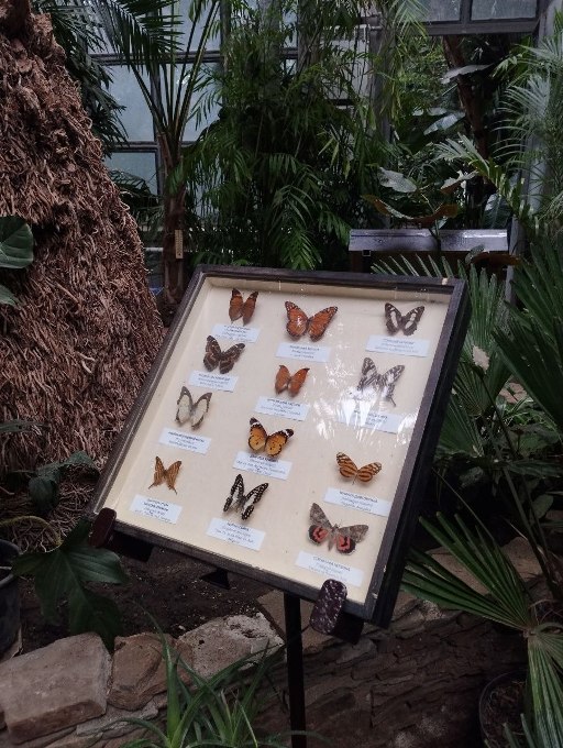 ������ �������: �������� ����� � �������