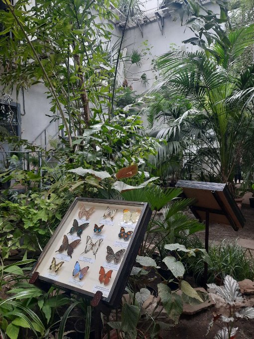 Новини Харкова: виставка комах у ботсаду