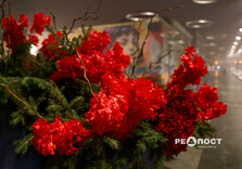 У Харкові набережну прикрасили до Дня закоханих (фото)