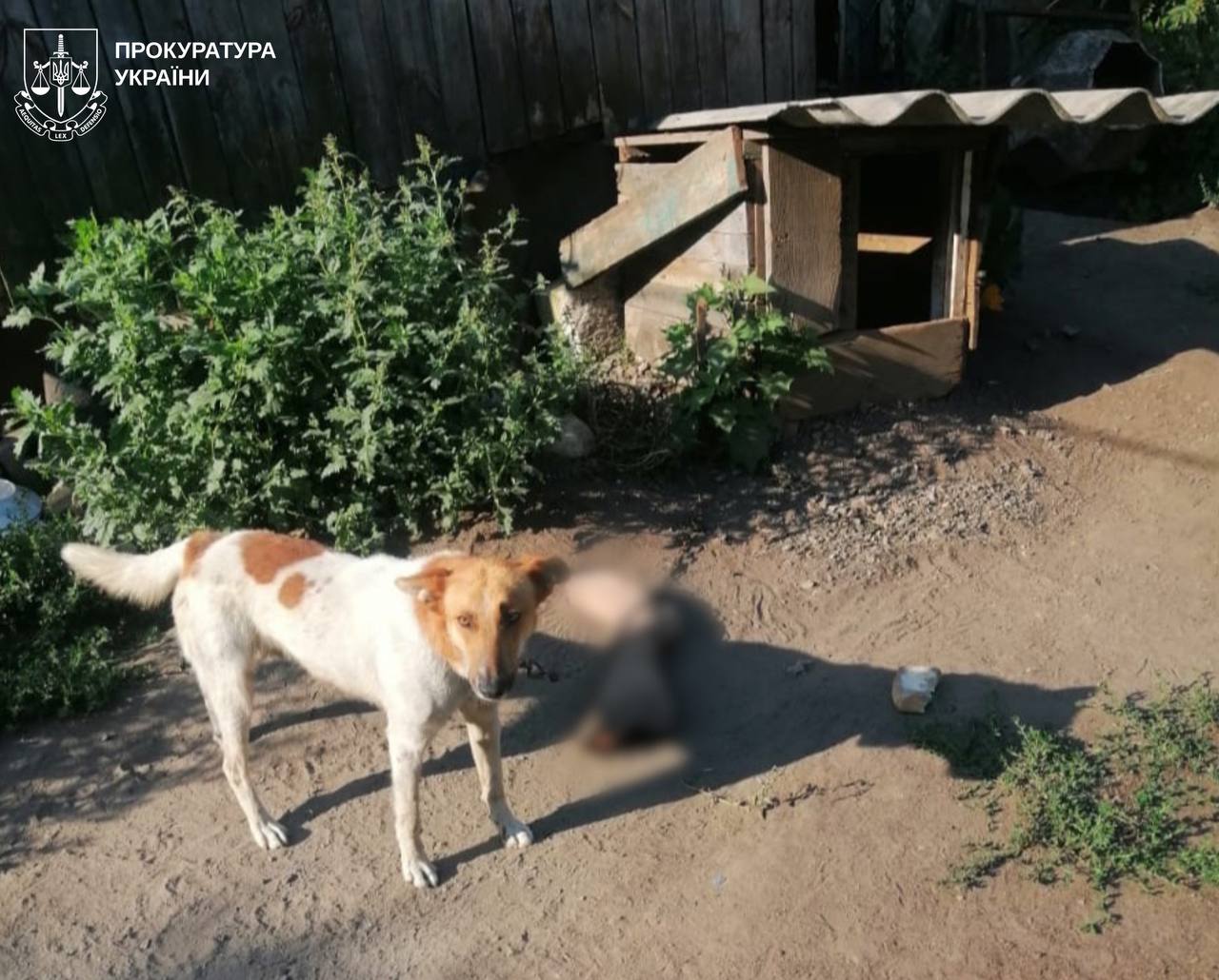 Убив та розчленував товариша: суд виніс вирок мешканцю Харківщини