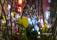 Харків почали прикрашати до весни (фото)