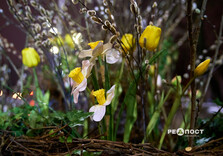 Харків почали прикрашати до весни (фото)