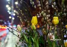 Харків почали прикрашати до весни (фото)