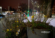 Харків почали прикрашати до весни (фото)