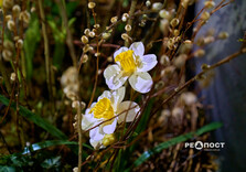 Харків почали прикрашати до весни (фото)
