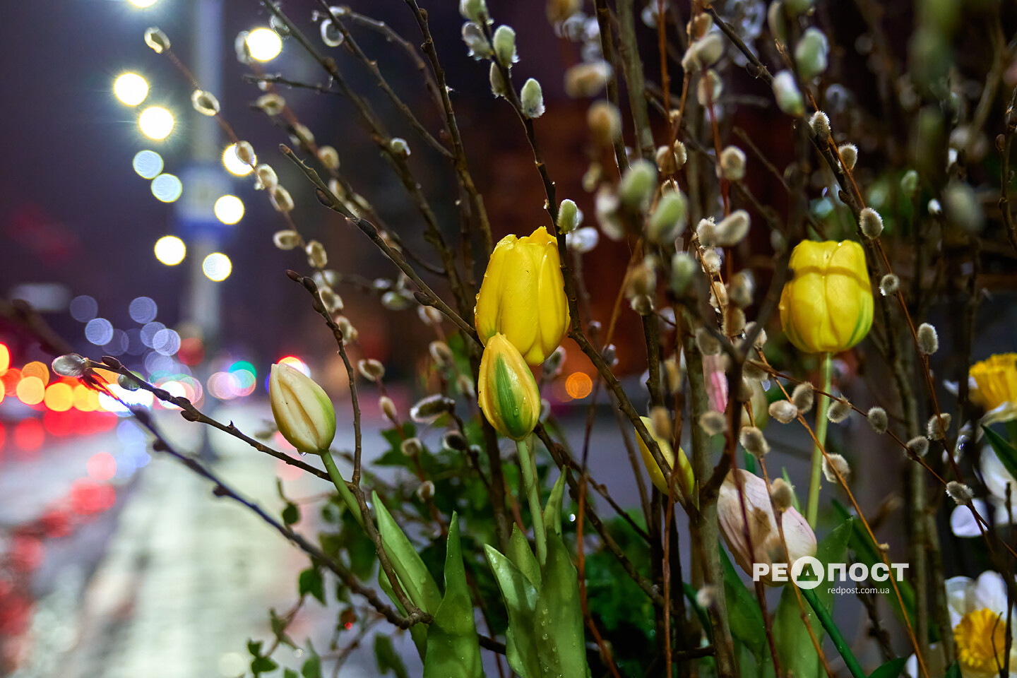 Харків почали прикрашати до весни (фото)