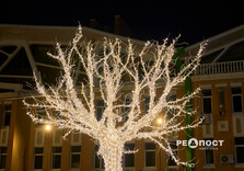 На муніципальній ковзанці у Харкові з'явилась нова прикраса (фото)