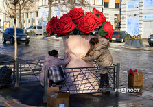 Нові квіткові інсталяції у Харкові (фото)