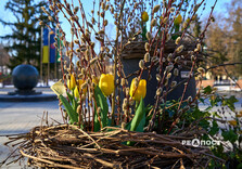 Нові квіткові інсталяції у Харкові (фото)