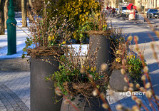 Нові квіткові інсталяції у Харкові (фото)