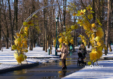 Нові квіткові інсталяції у Харкові (фото)