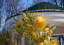 Нові квіткові інсталяції у Харкові (фото)